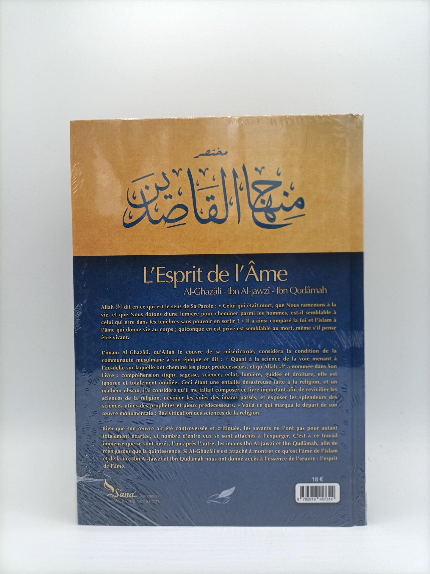L’esprit De L’âme D’après Al-Ghazali, Ibn Al-Jawzi Et Ibn Qudamah