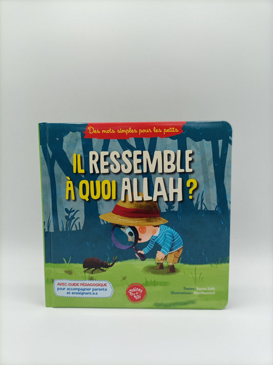 Il Ressemble À Quoi Allah ?